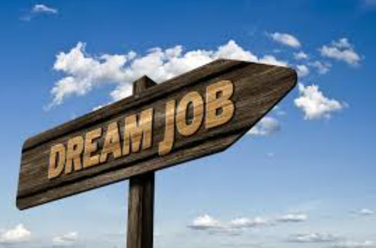 Zensar Fresher's Opportunity